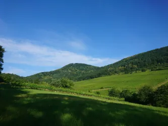 Blick auf den Hohenberg zur Kastanienblüte