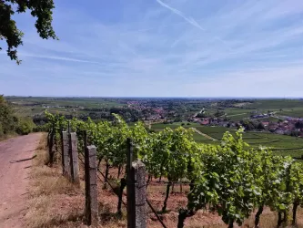 Blick ins Queichtal