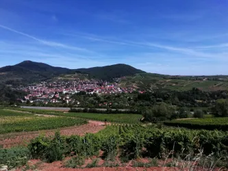 Blick auf Albersweiler