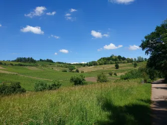 Wanderung auf dem Hohenberg