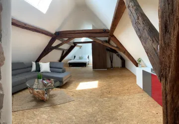Wohn- und Schlafzimmer
