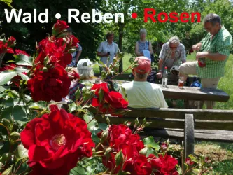 Gaestewanderwoche_Doerrenbach_Fotos-Hermes_1,31MB