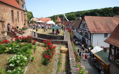 Rosenwochen (© Archiv Tourismusverein SÜW Bad Bergzabern e.V.)