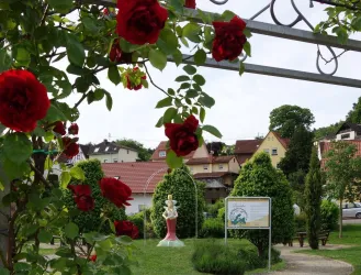 Dornröschengarten Dörrenbach