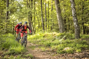 Zwei Mountainbiker auf Waldweg im Pfälzerwald