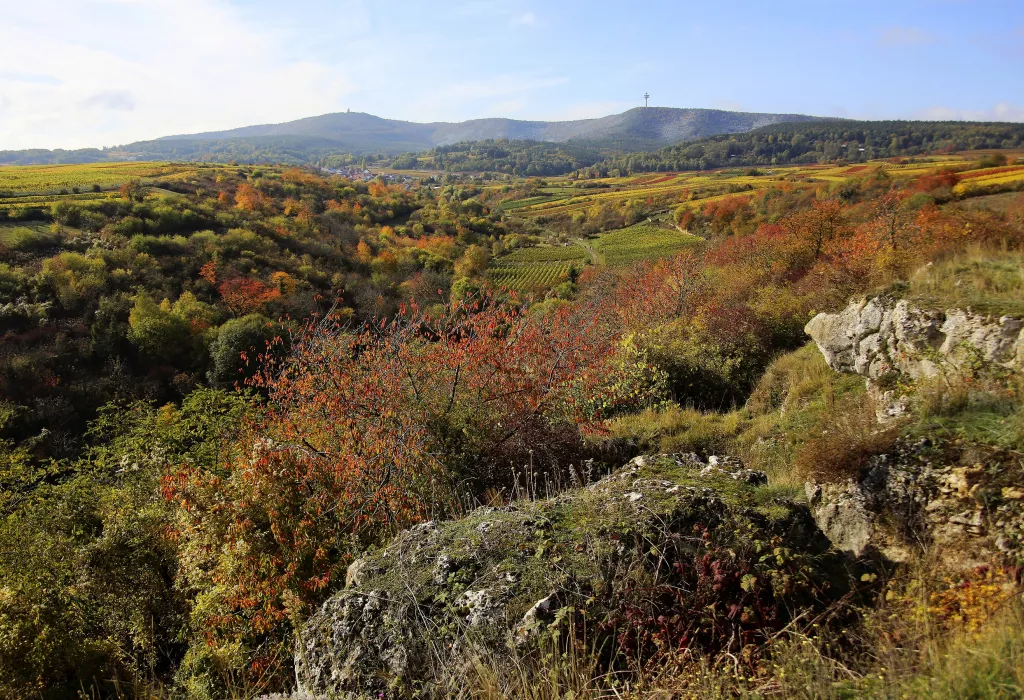 Berntal bei Leistadt im Herbst