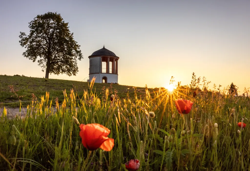 Sonnenaufgang am Deidesheimer Tempel