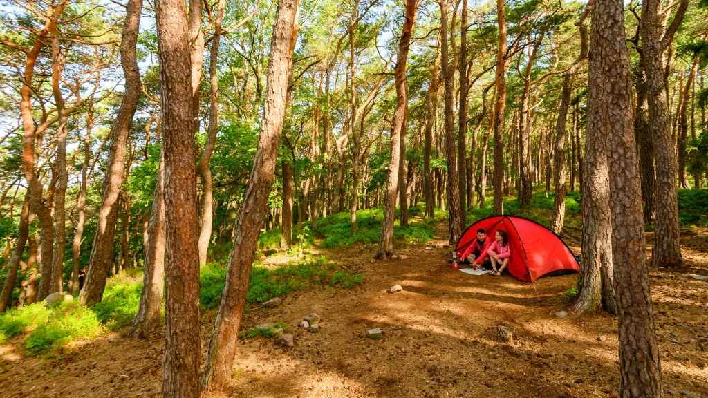 Zelt auf Trekkingplatz im Pfälzerwald