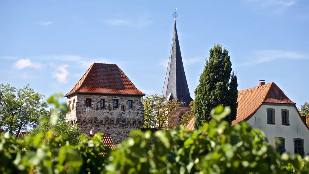 Blick auf die historische Stadtmauer Freinsheim