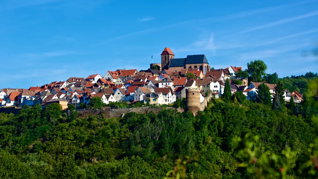 Blick auf das Burg- und Weindorf Neuleiningen