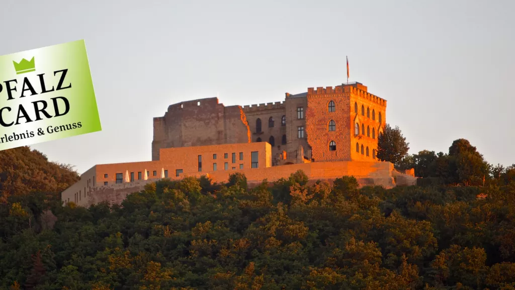 Collage Hambacher Schloss mit Pfalzcard-Logo