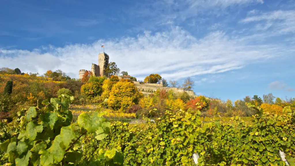 Blick auf die Burgruine Wachtenburg im Herbst