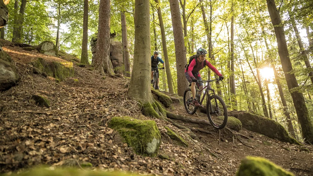 Zwei Mountainbiker auf einem Trail im Mountainbikepark Pfälzerwald