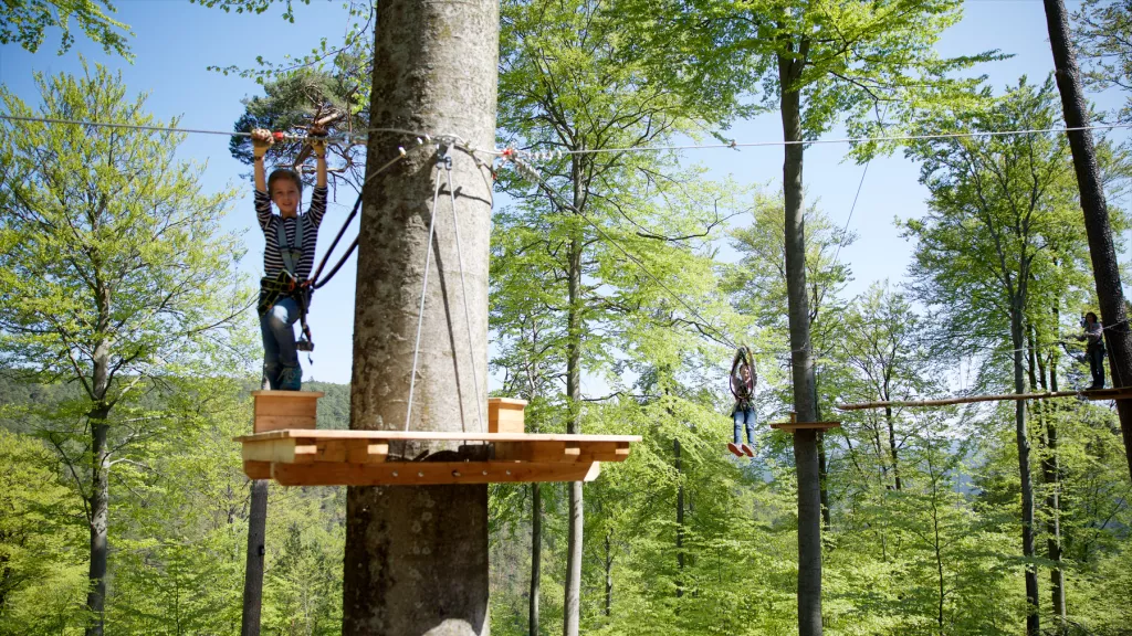 Ziplinepark Elmstein