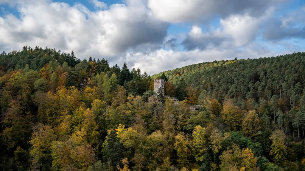 Burg Erfenstein im Pfälzerwald