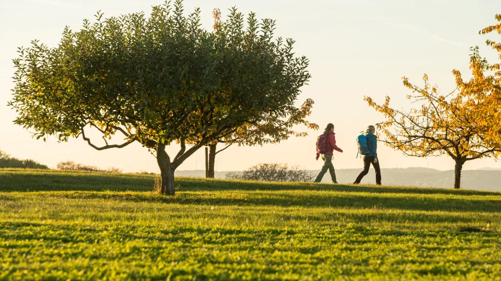 Zwei Wanderinnen wandern über eine herbstliche Wiese