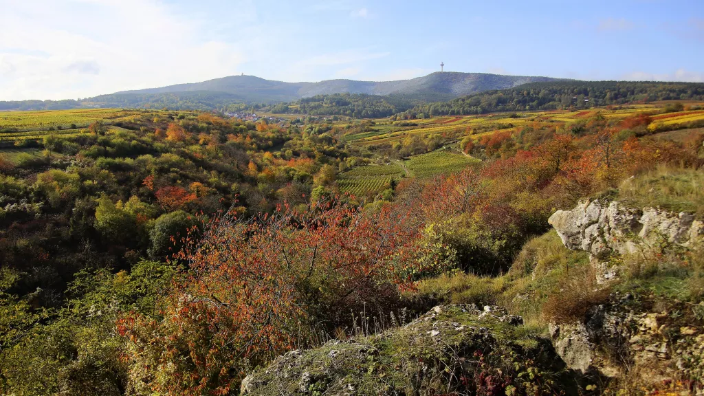 Berntal bei Leistadt im Herbst