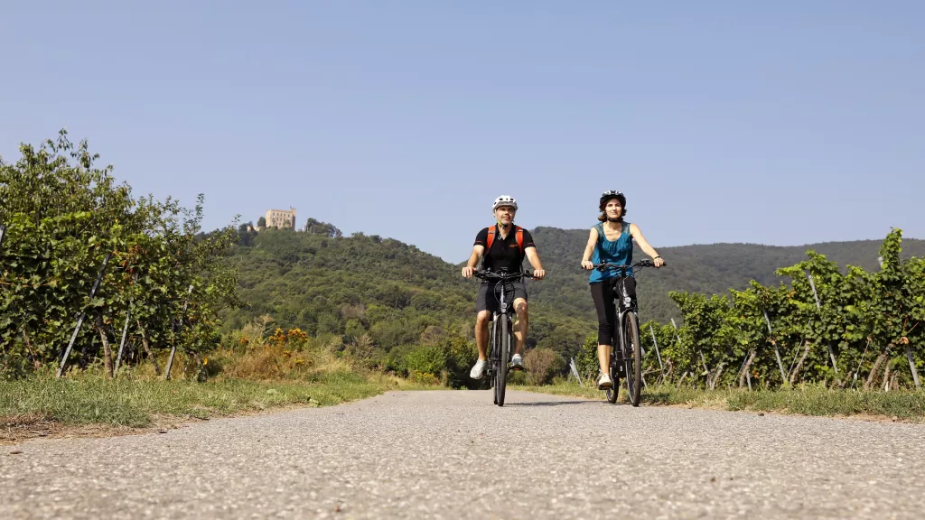 Radfahrende mit Hambacher Schloss im Hintergrund