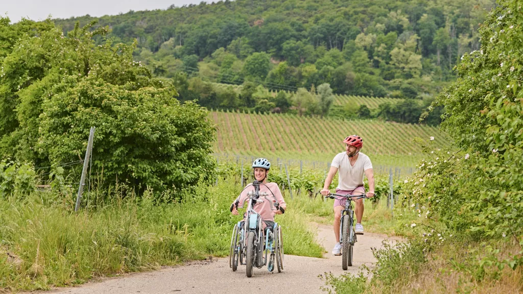 Eine Handbike-Fahrerin und ein Radfahrer radeln durch Weinlandschaft