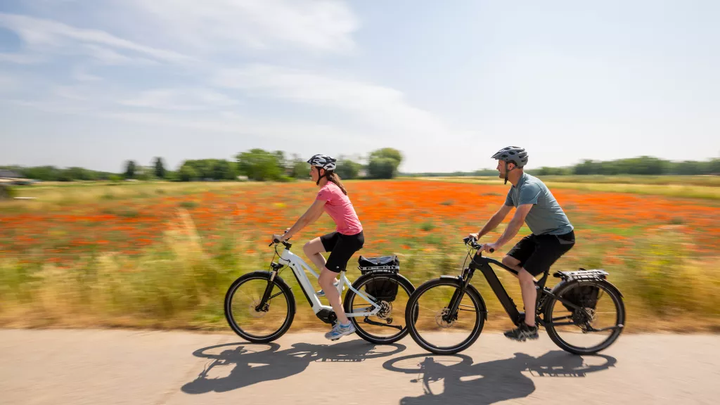 Zwei Radfahrer fahren vor blühender Mohnwiese