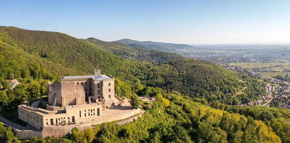 Blick auf das Hambacher Schloss und Neustadt