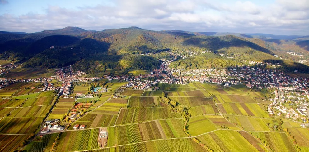 Luftaufnahme von der Deutschen Weinstraße bei Neustadt