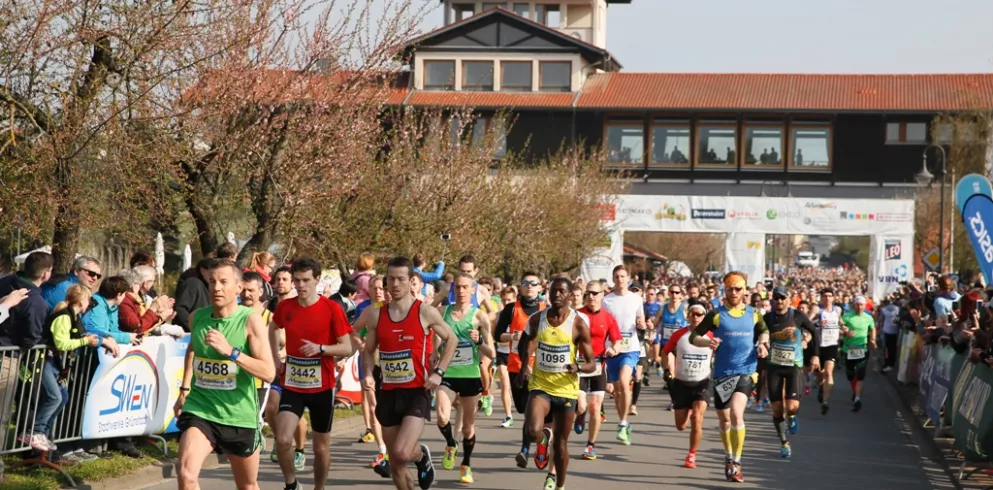 Marathon Deutsche Weinstraße