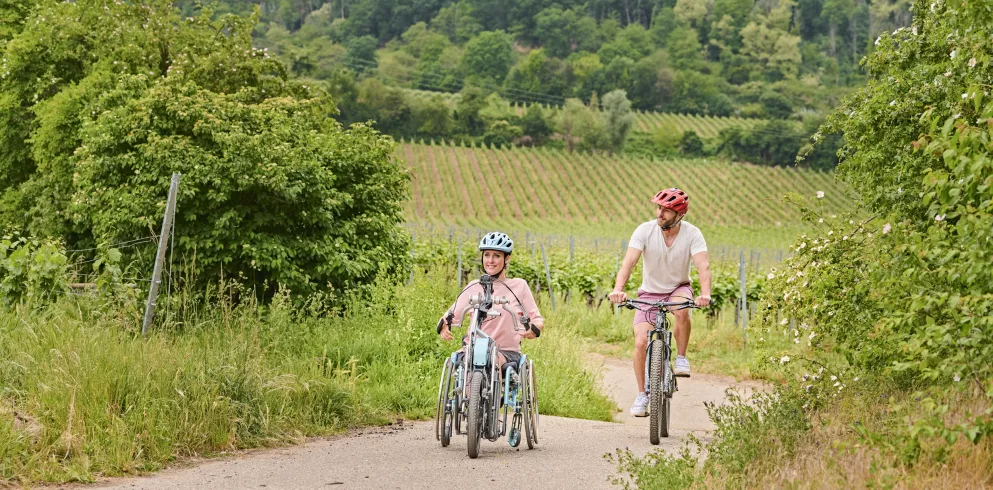 Eine Handbikerin und ein Radfahrer radeln durch Weinlandschaft