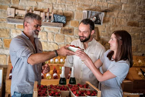 Hofladen in Meckenheim (© Florian Trykowski, Pfalz.Touristik e. V.) Junges Paar kauft Erdbeeren in einem Hofladen