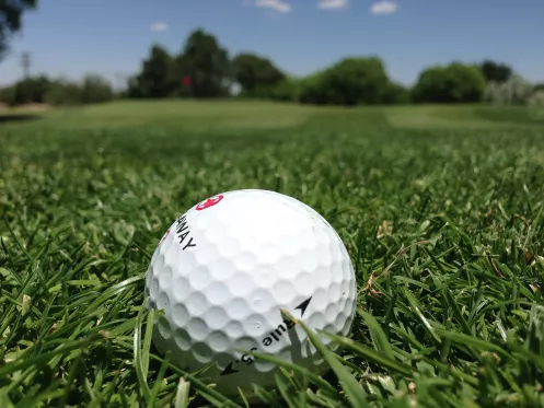 Golfball liegt auf Rasen