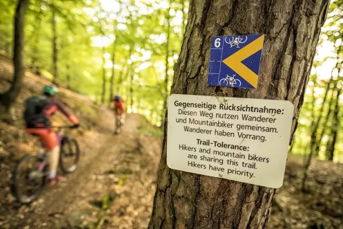 Schild mit Hinweis auf gegenseitige Rücksichtnahme im Mountainbikepark Pfälzerwald