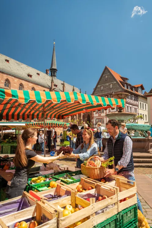 Paar kauft ein an Marktstand auf dem Neustadter Wochenmarkt