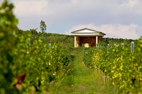 Römischer Sarkophag mit Weinberg im Vordergrund