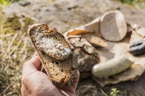 Pfälzer Leberwurst auf Brot