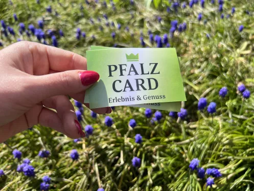 Eine Hand, die eine Pfalzcard hält vor einer Blumenwiese