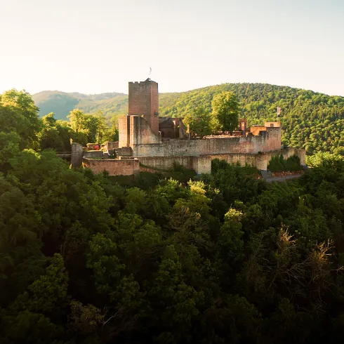 Burg Landeck Bild 1
