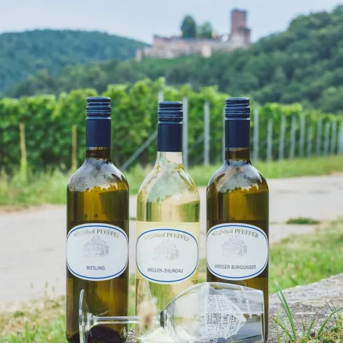 Weinflaschen (© Weinstube und Weinhof Pfeffer) Weinflaschen (© Weinstube und Weinhof Pfeffer)