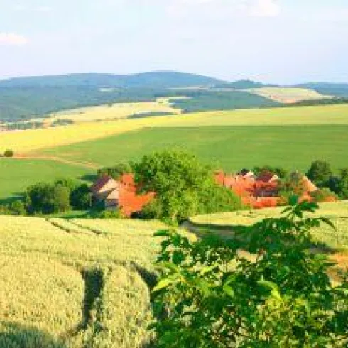 Aussicht vom Wasserhäuschen Aussicht vom Wasserhäuschen