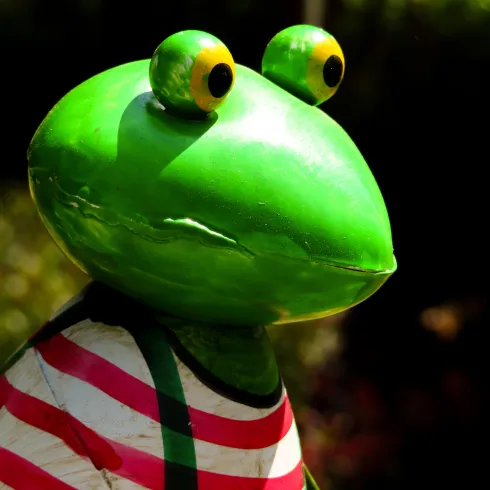 Frosch Frosch