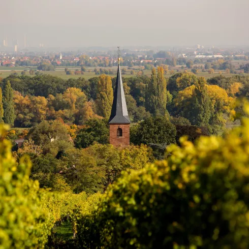 Forster Weinlagen 1