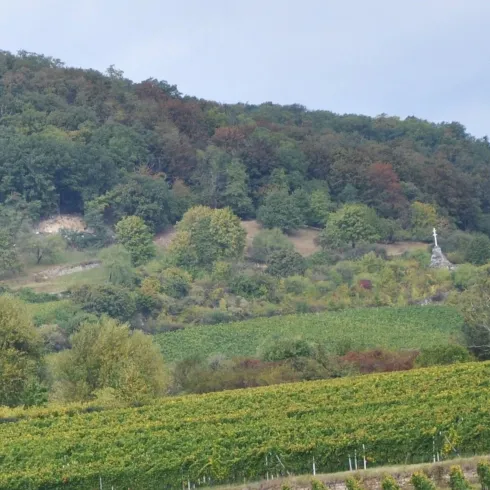Hahnenböhler Kreuz bei Deidesheim 1