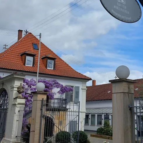 Winzerverein Forst - Weinstraßenansicht