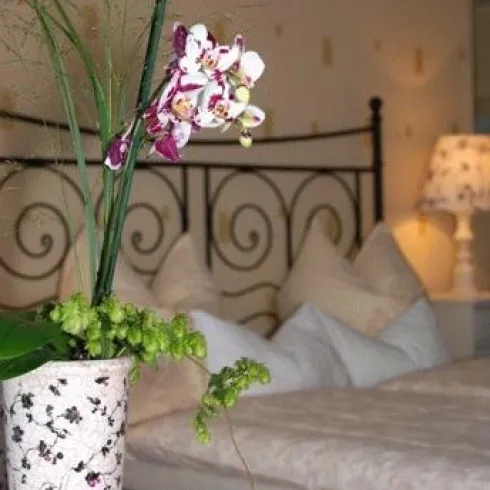 Ferienwohnung Schalck Ferienwohnung Schalck
