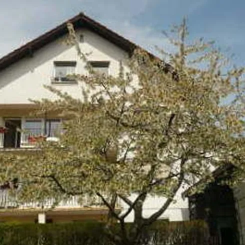 Hausansicht Rückseite