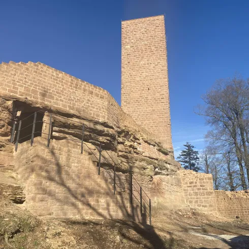 Burgruine Scharfenberg (© Verein Südliche Weinstrasse Annweiler am Trifels)