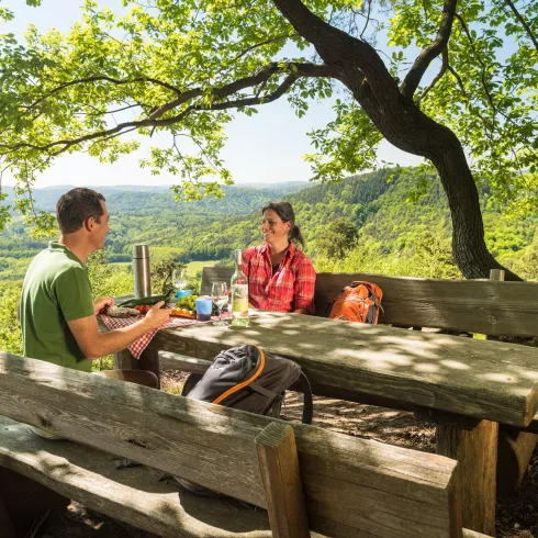 Picknickplatz (© Pfalz.Touristik e.V., Foto: Dominik Ketz)