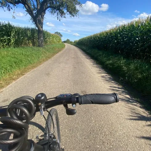 Fahrrad (© Verein SÜW Annweiler e.V.) Fahrrad (© Verein SÜW Annweiler e.V.)