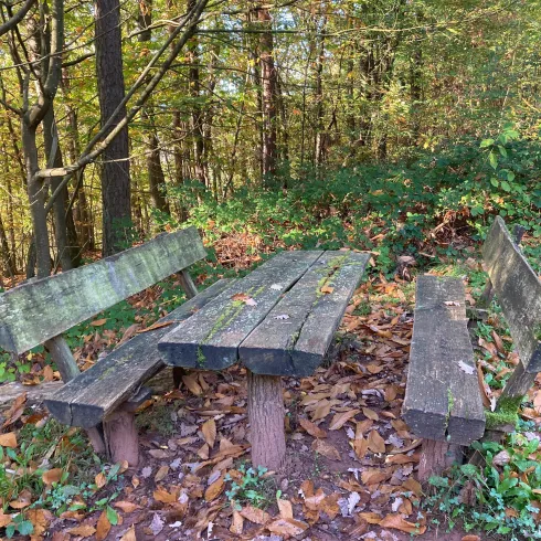 Picknickplatz (© Verein SÜW Annweiler e.V.)