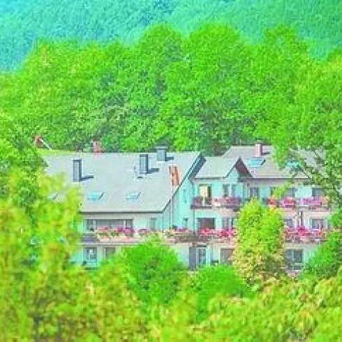 Haus Haus