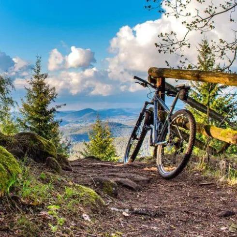 Aussicht am Steinernen Tisch (© Archiv Tourismusverein SÜW Bad Bergzabern e.V.)